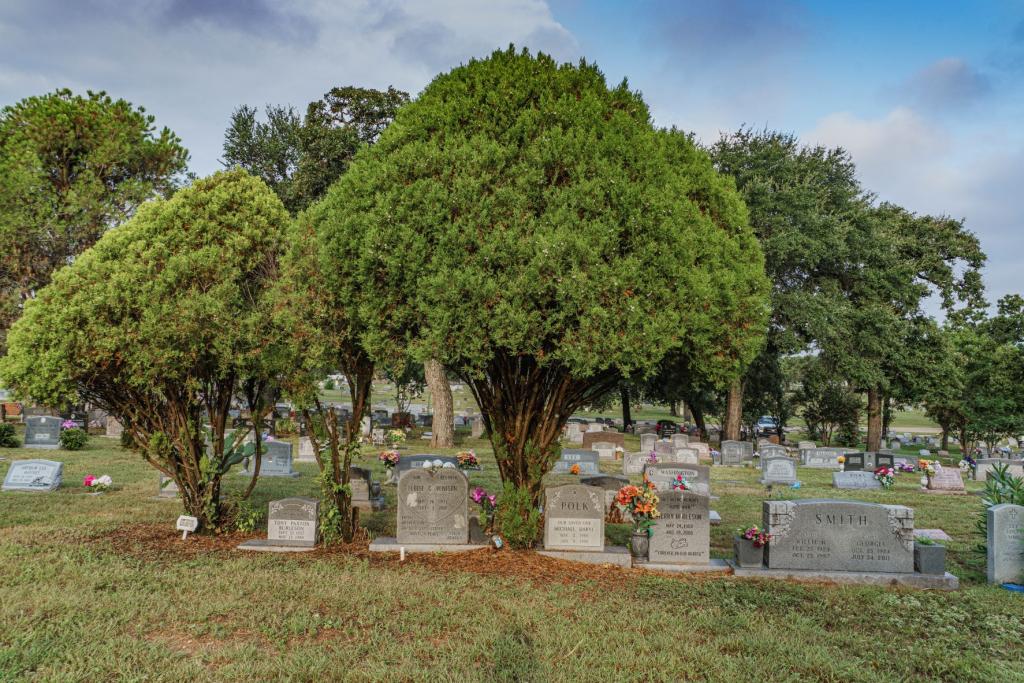 Cemetery Rules and FAQs AustinTexas.gov